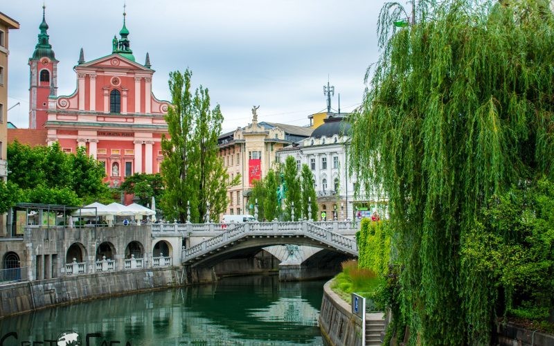 World Transport Overseas Group разширява своето глобално присъствие с откриването на офис в Любляна, Словения!
